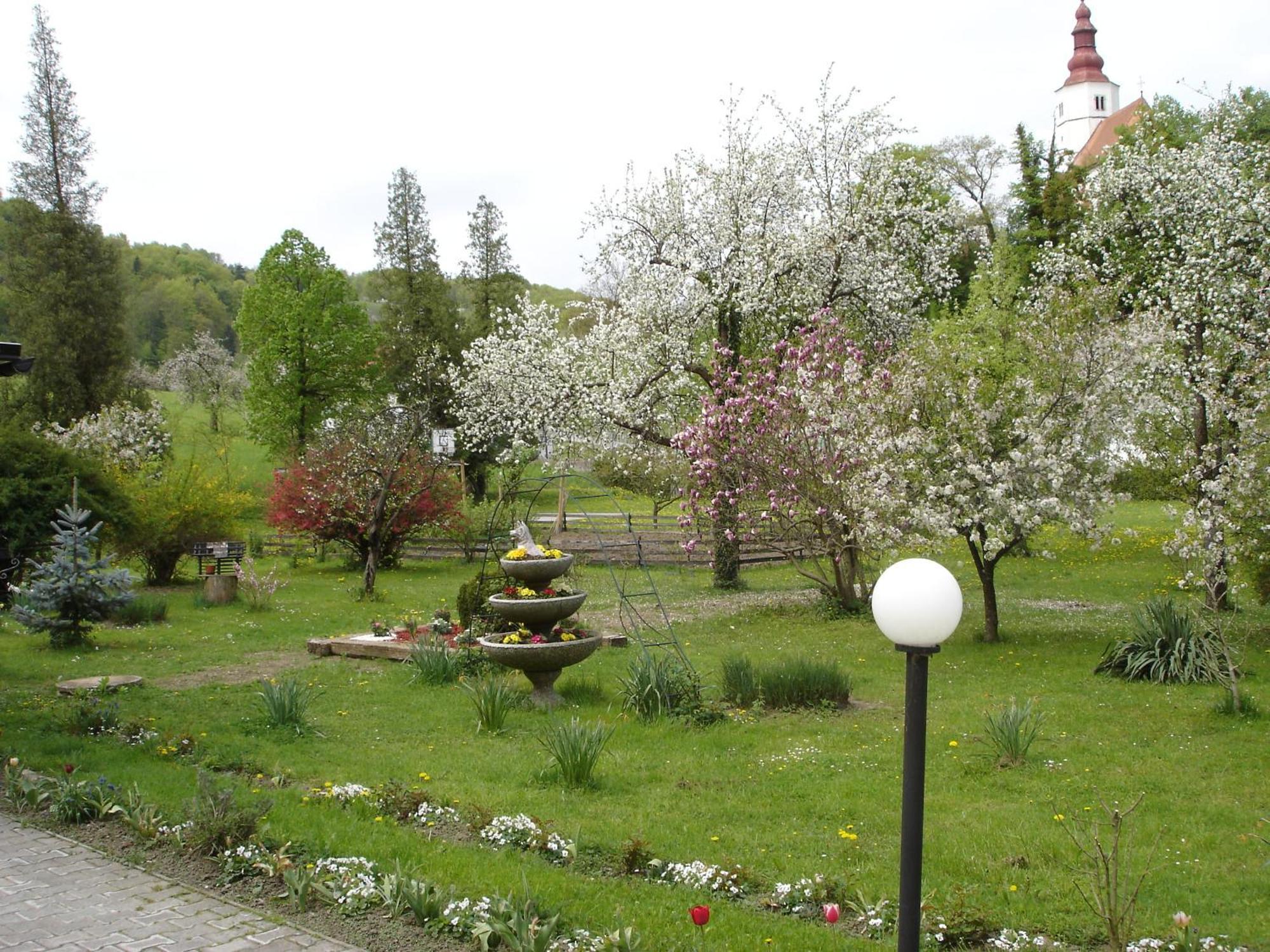 Guest House Cater Laško Екстериор снимка